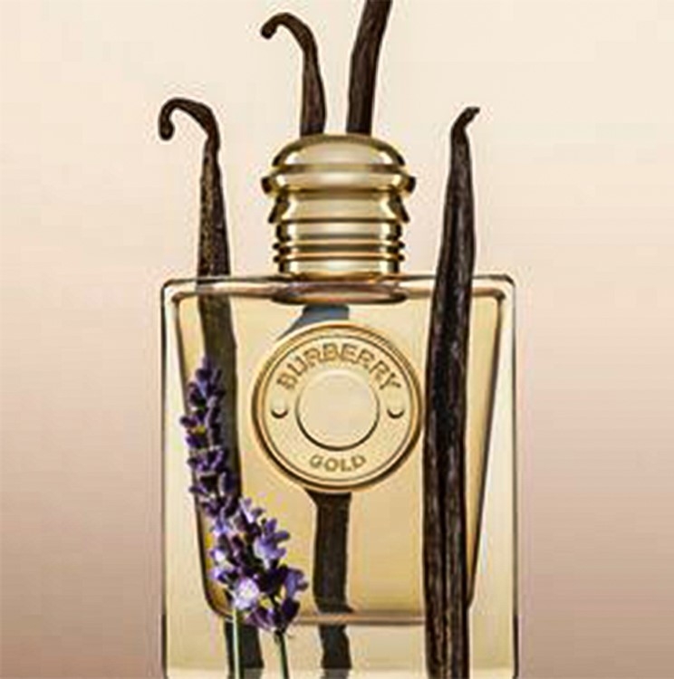 Tester Burberry Gold EDP